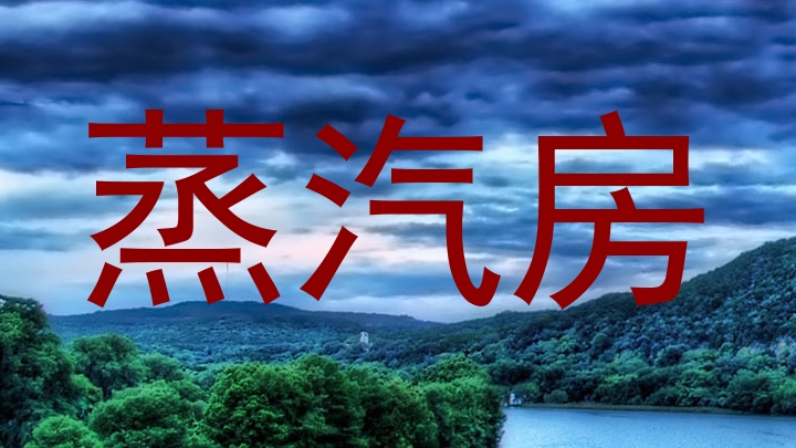 蒸汽房
