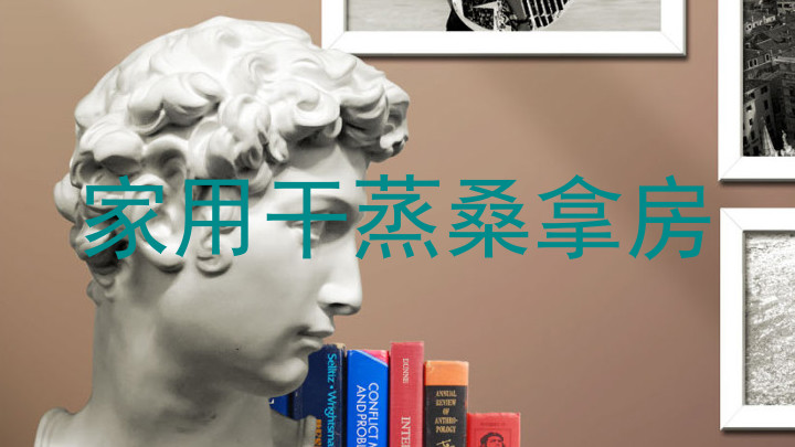 家用干蒸桑拿房