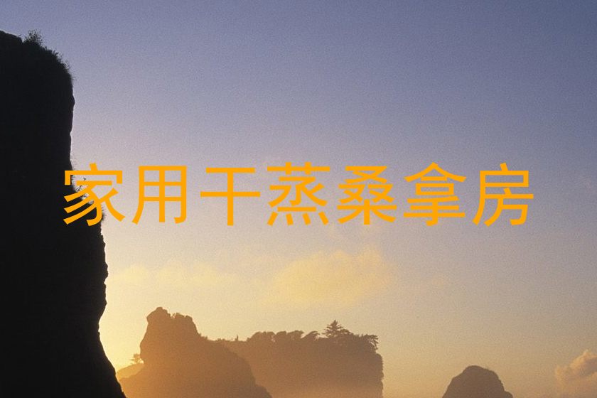 家用干蒸桑拿房