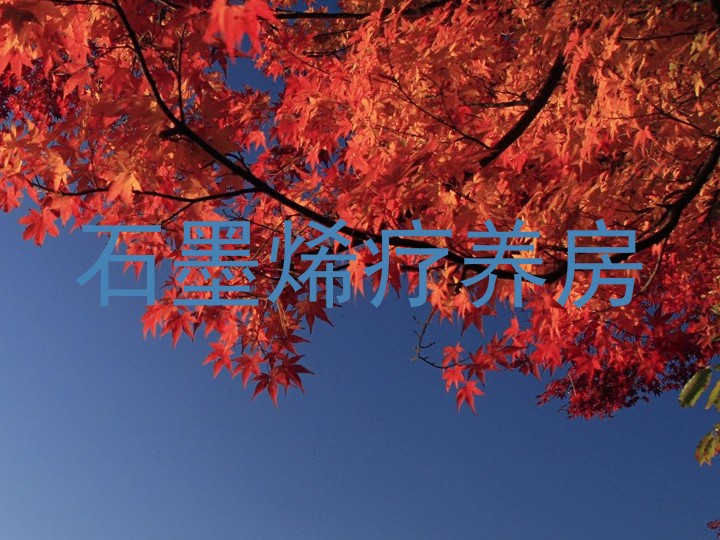 石墨烯疗养房