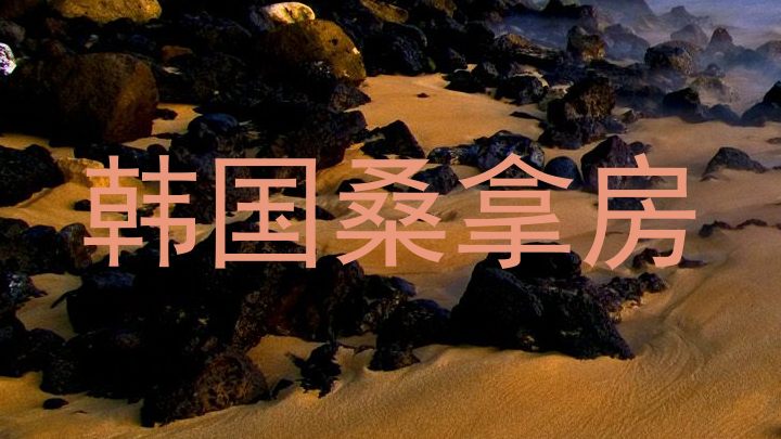 韩国桑拿房