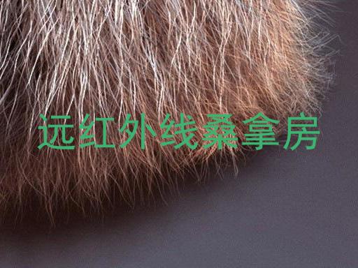 远红外线桑拿房