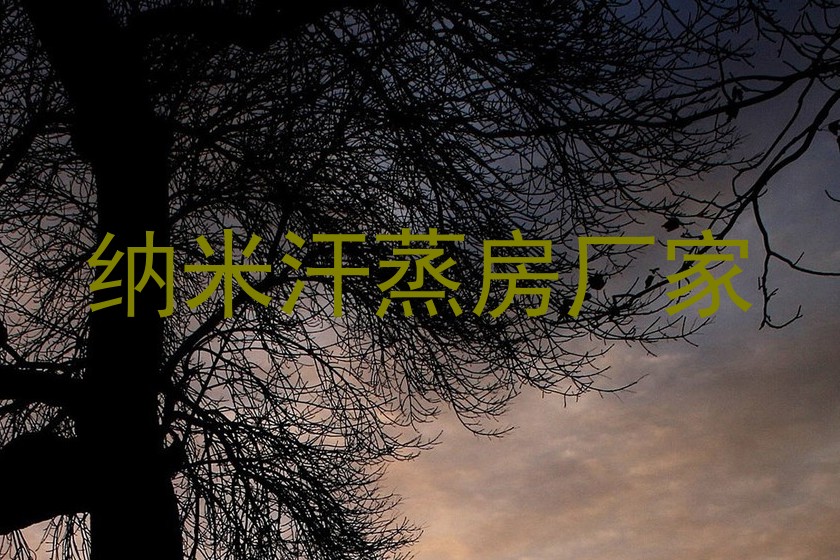 纳米汗蒸房厂家