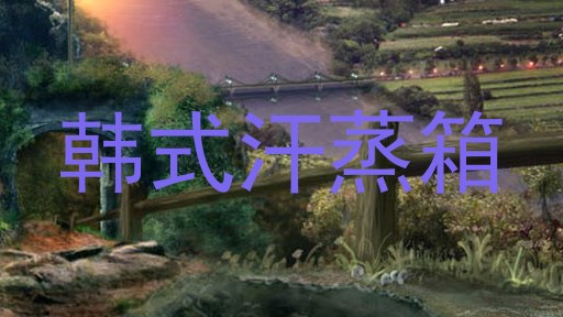 韩式汗蒸箱