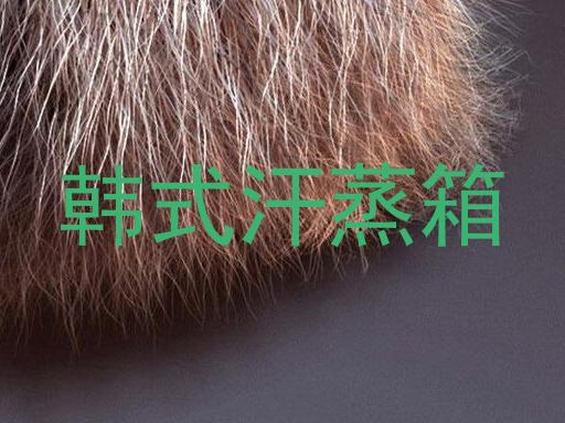 韩式汗蒸箱