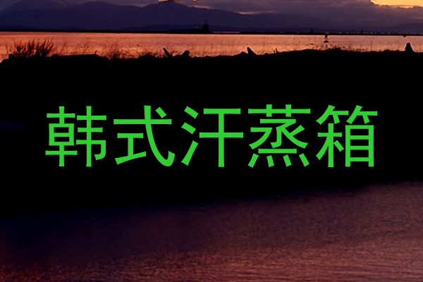 韩式汗蒸箱