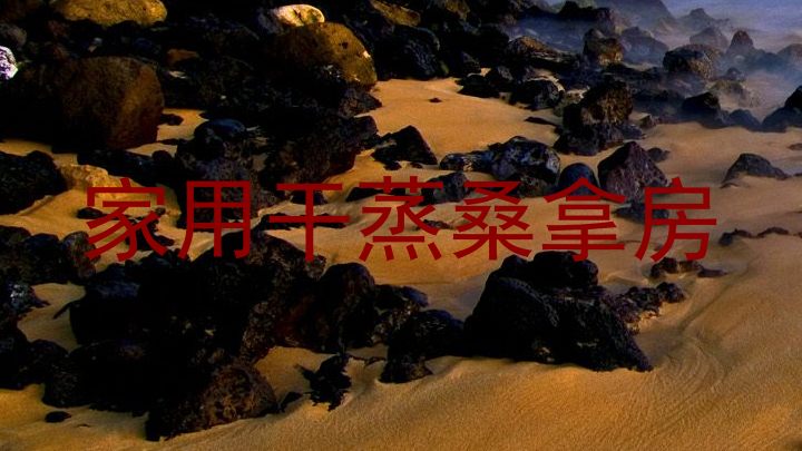 家用干蒸桑拿房