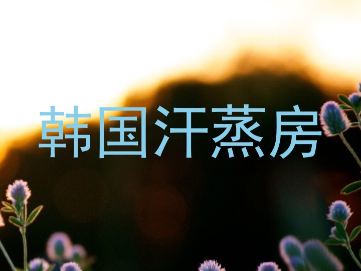 韩国汗蒸房