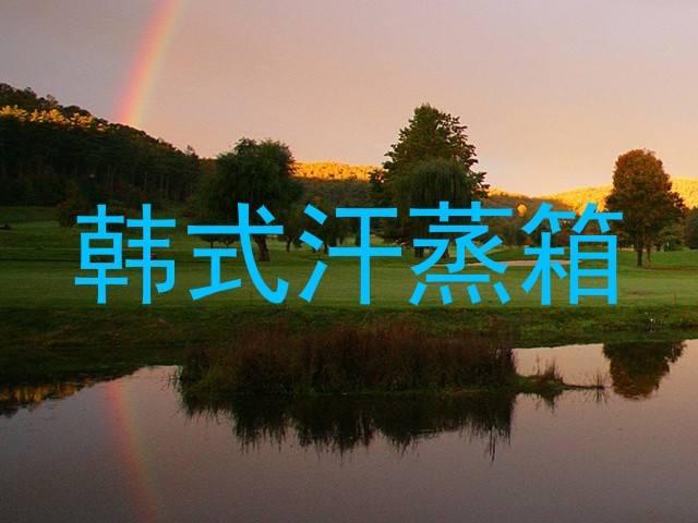 韩式汗蒸箱