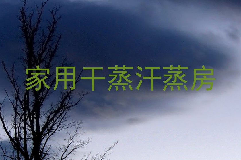 家用干蒸汗蒸房