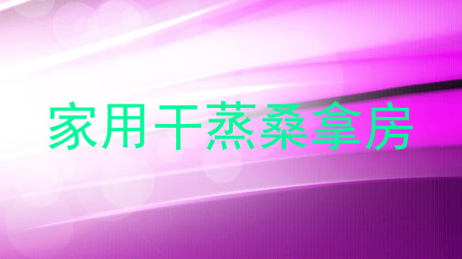 家用干蒸桑拿房