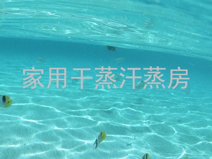 家用干蒸汗蒸房