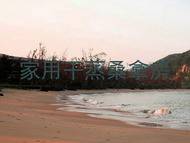 家用干蒸桑拿房