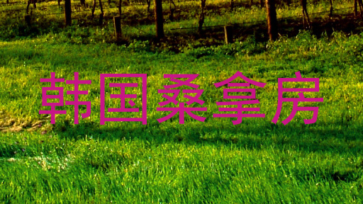 韩国桑拿房