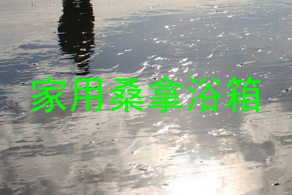 家用桑拿浴箱