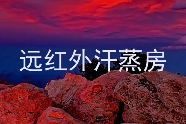 远红外汗蒸房