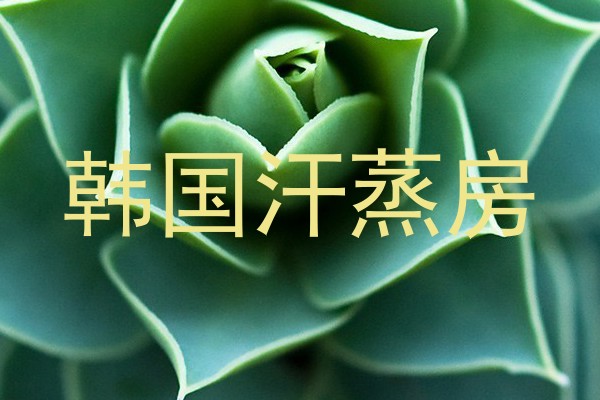 韩国汗蒸房