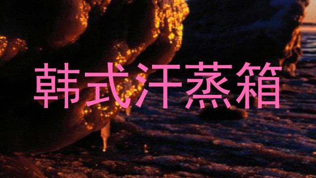 韩式汗蒸箱