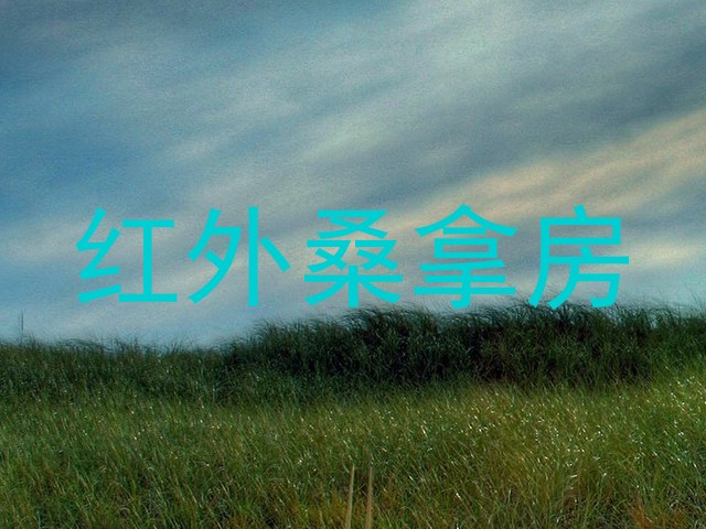 红外桑拿房