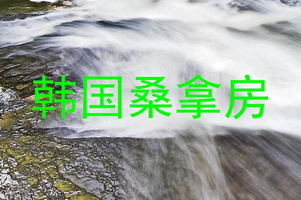 韩国桑拿房