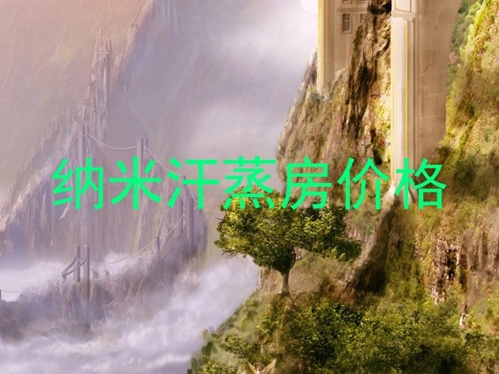 纳米汗蒸房价格