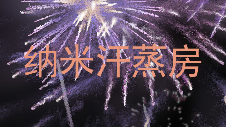 纳米汗蒸房