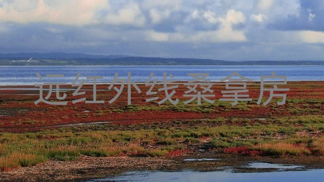 远红外线桑拿房