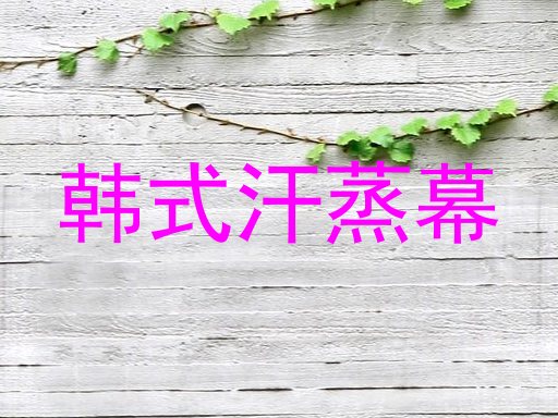 韩式汗蒸幕