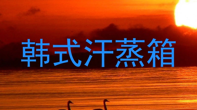 韩式汗蒸箱
