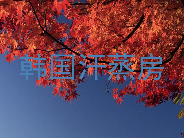 韩国汗蒸房
