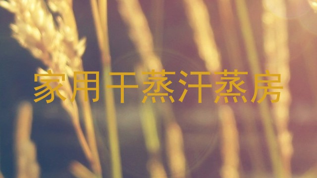 家用干蒸汗蒸房
