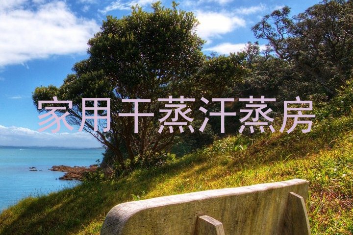 家用干蒸汗蒸房