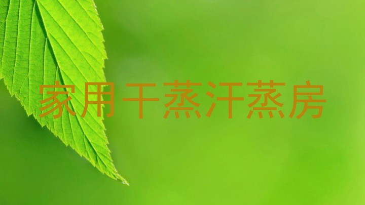 家用干蒸汗蒸房