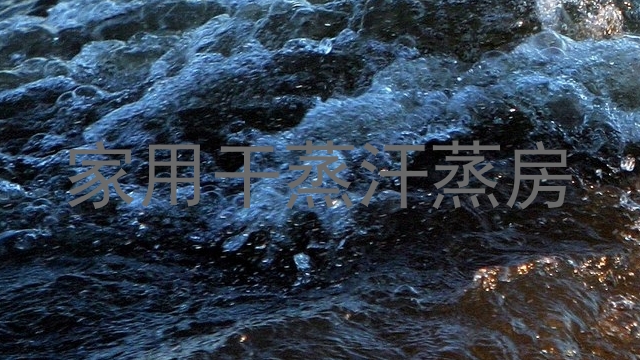 家用干蒸汗蒸房