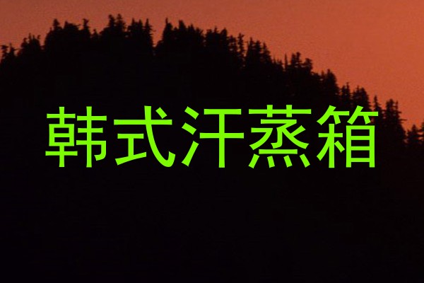 韩式汗蒸箱