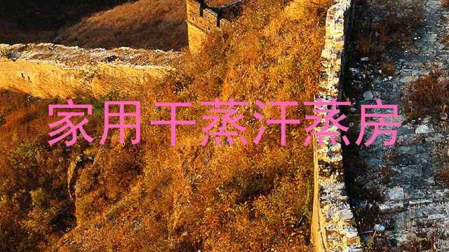 家用干蒸汗蒸房