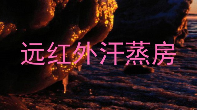 远红外汗蒸房