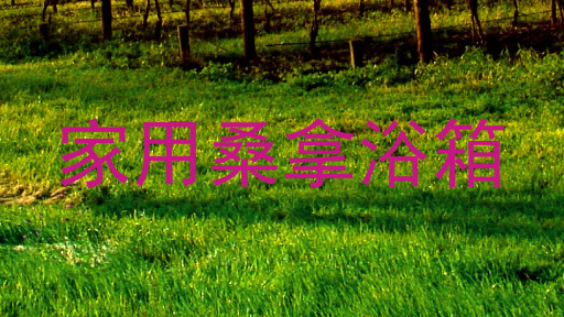 家用桑拿浴箱