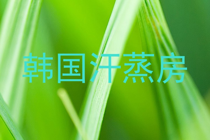 韩国汗蒸房