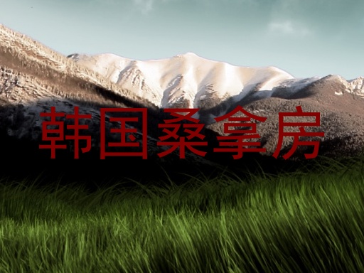 韩国桑拿房
