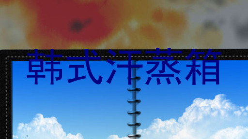 韩式汗蒸箱
