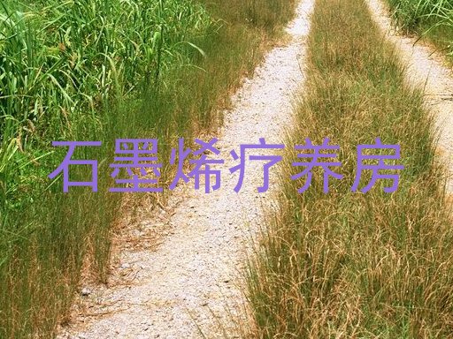 石墨烯疗养房