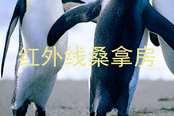 红外线桑拿房