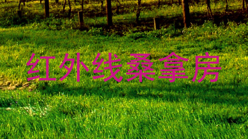 红外线桑拿房