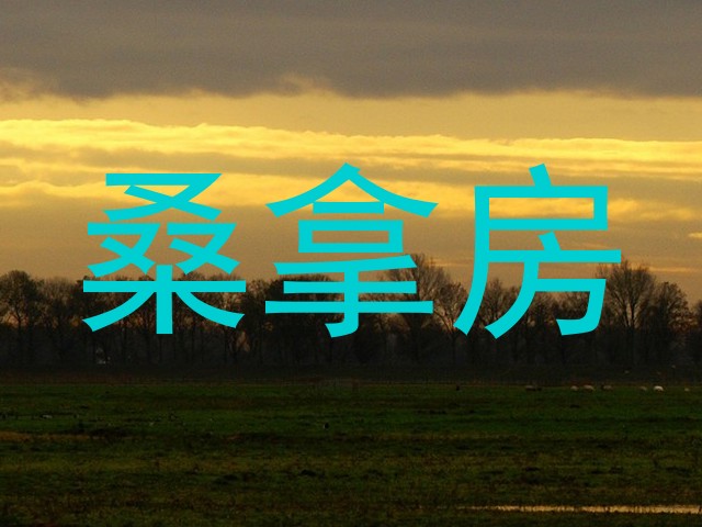 桑拿房