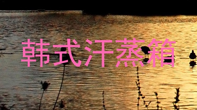 韩式汗蒸箱