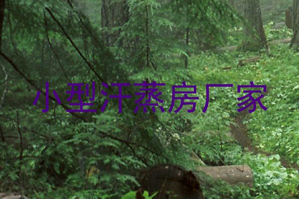 小型汗蒸房厂家