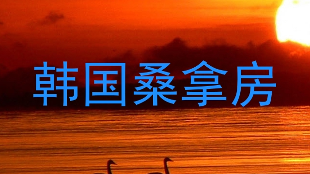 韩国桑拿房