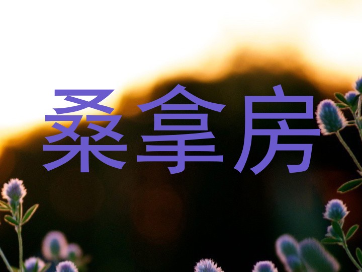 桑拿房
