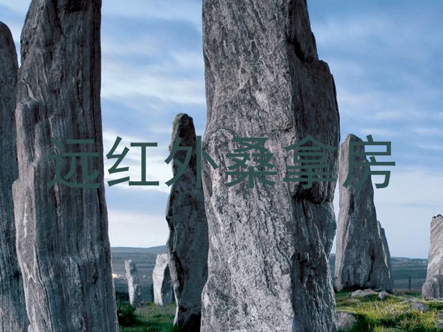 远红外桑拿房